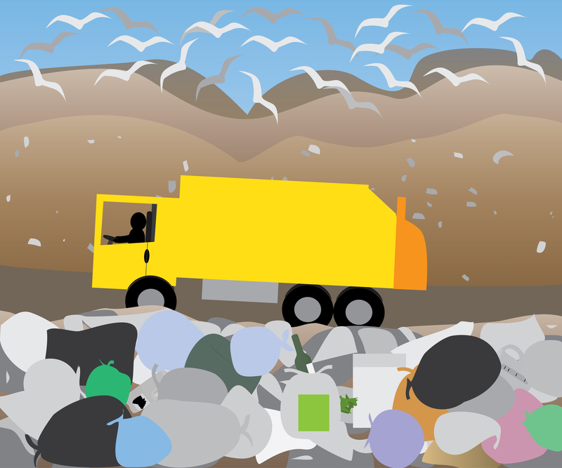 waste removal waste disposal